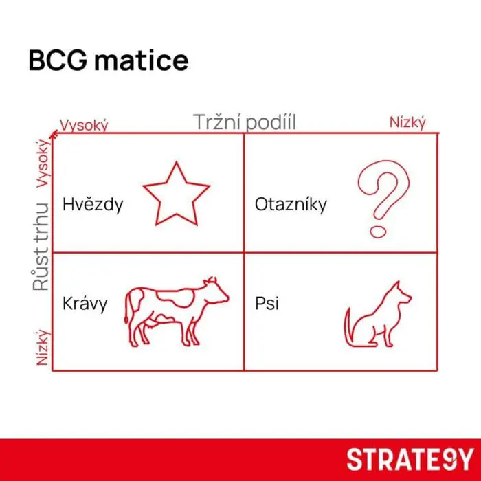 bcg matica