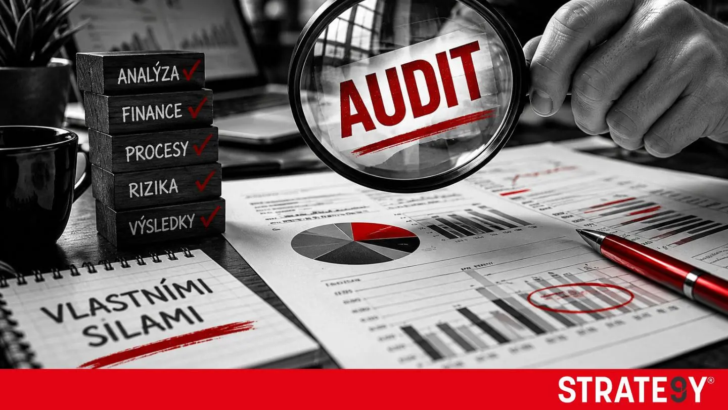 Audit podnikání vlastními silami: Jak zjistit, co vám ve firmě opravdu funguje 2 audit podnikaní vlastními silami