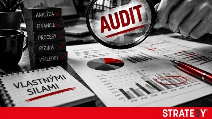 audit podnikania vlastnými silami