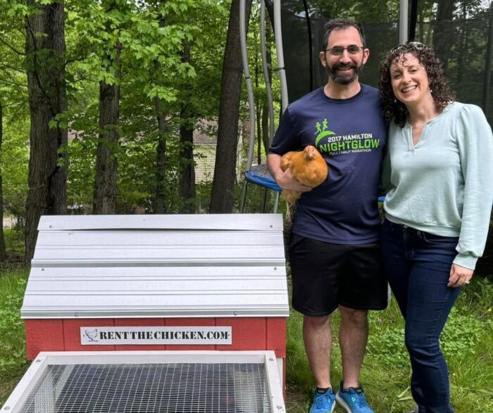 Pronajem slepic Pronajem slepic