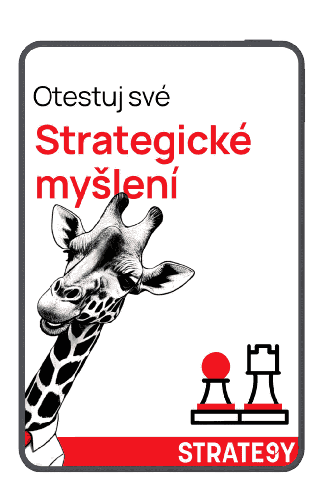 test strategického myšlení