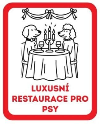 luxusni_restaurace_pro_psy luxusni restaurace pro psy