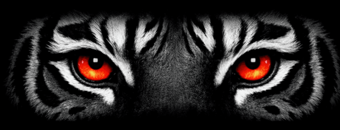 tygr oci e1773228028318